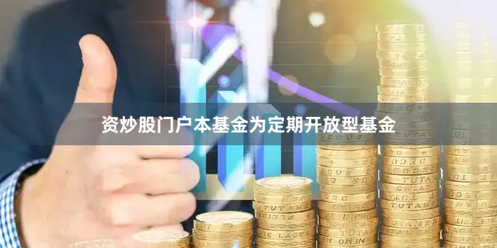 资炒股门户本基金为定期开放型基金