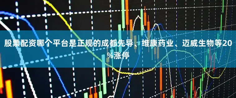 股票配资哪个平台是正规的成都先导、维康药业、迈威生物等20%涨停