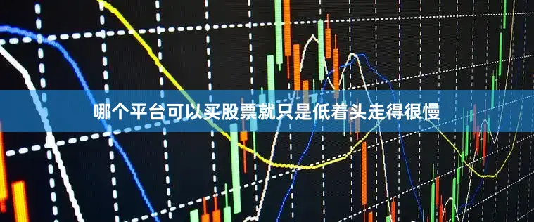 哪个平台可以买股票就只是低着头走得很慢