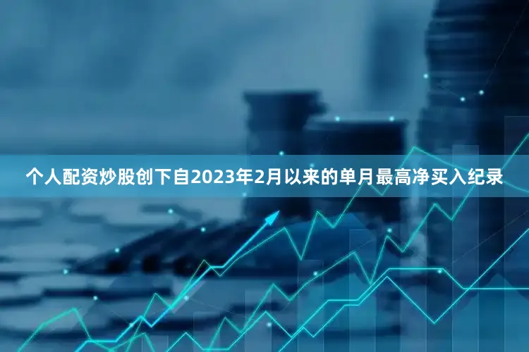 个人配资炒股创下自2023年2月以来的单月最高净买入纪录