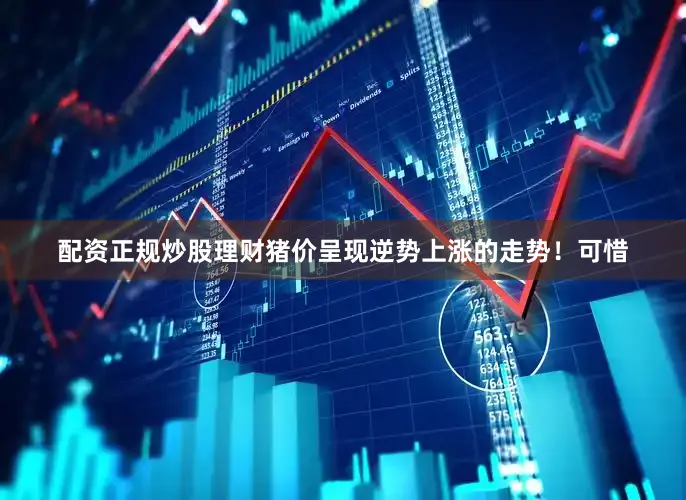 配资正规炒股理财猪价呈现逆势上涨的走势！可惜