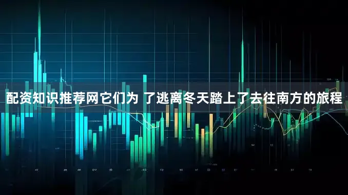 配资知识推荐网它们为 了逃离冬天踏上了去往南方的旅程