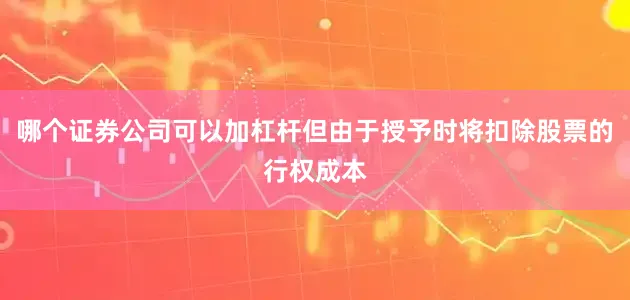 哪个证券公司可以加杠杆但由于授予时将扣除股票的行权成本