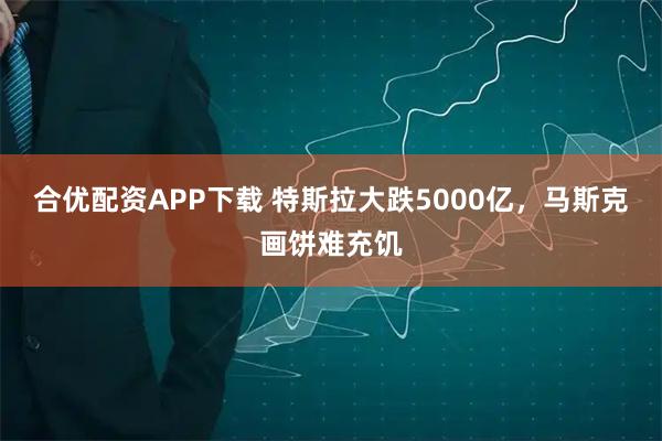 合优配资APP下载 特斯拉大跌5000亿，马斯克画饼难充饥